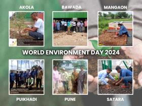 World Environment  Day : A Commitment to a Greener Future